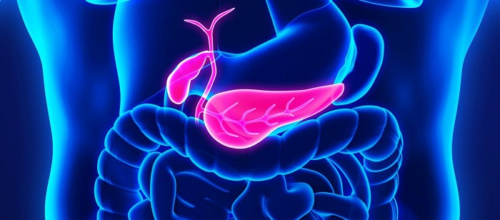 Articole/cancer-pancreatic-ONCOFORT